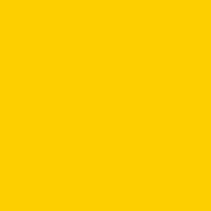 Basic Amarelo 221 Mat