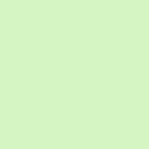 Basic Verde 261 Mat