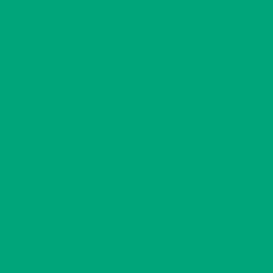 Basic Verde 271 Mat
