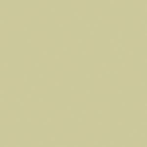 Basic Verde Cape 3361 Mat