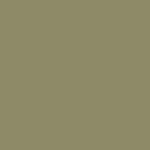 Basic Verde Musgo 3381 Mat