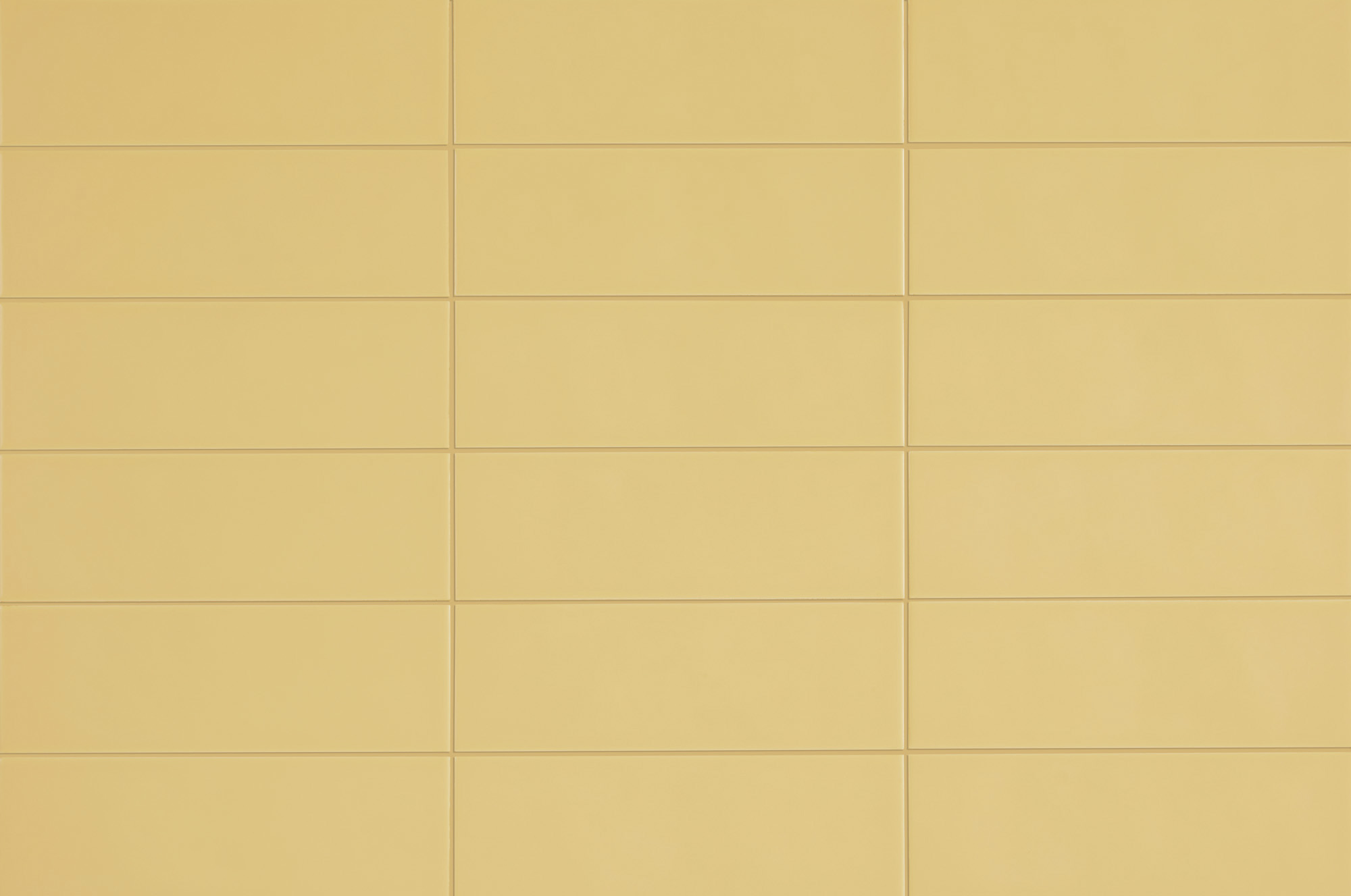 Chroma Ginkgo Yellow Matte