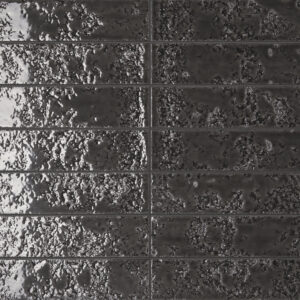 Coral Black Glossy